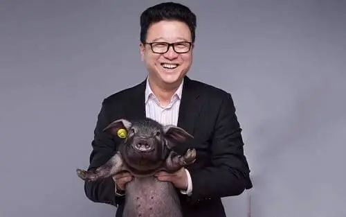 华为公开南泥湾计划，真要养猪了吗？