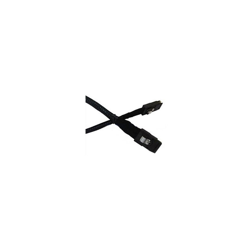 公转母延长线