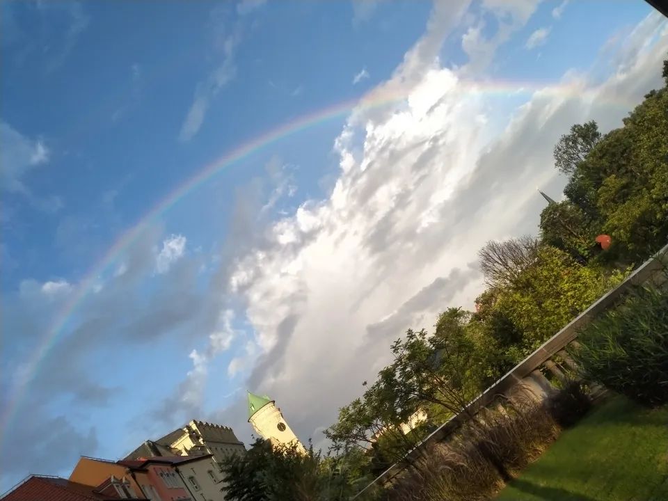 1608533879971025955.jpeg
