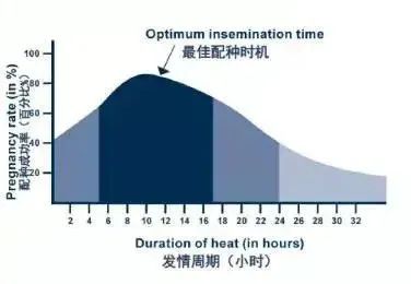南泥湾计划5.jpeg